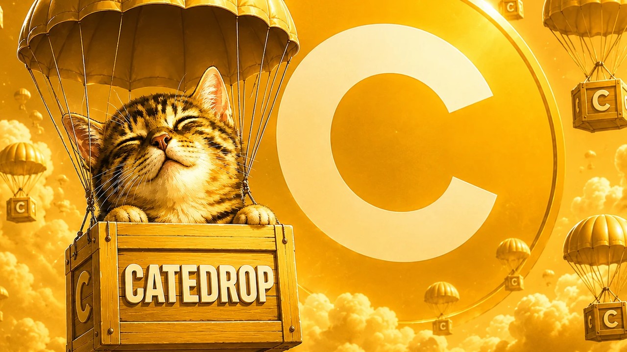 $CATEDROP — the golden catedrop